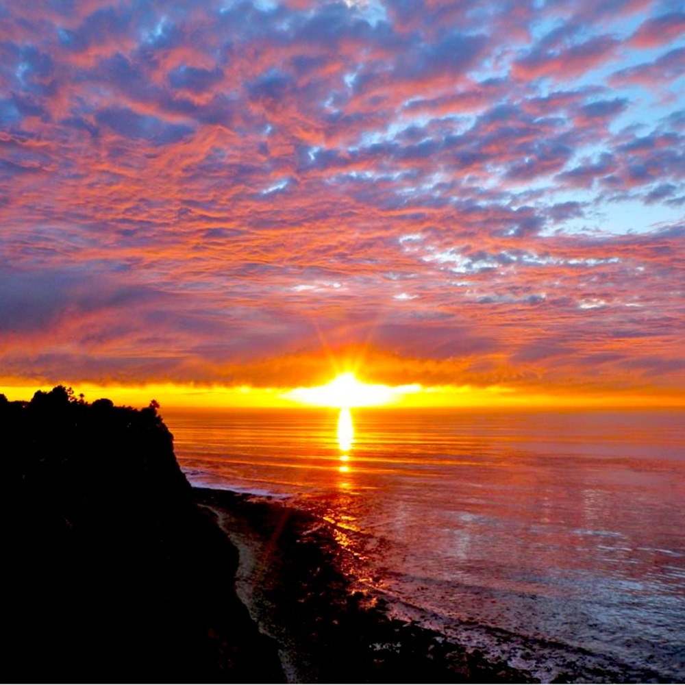 Meet your Posher, Teddy